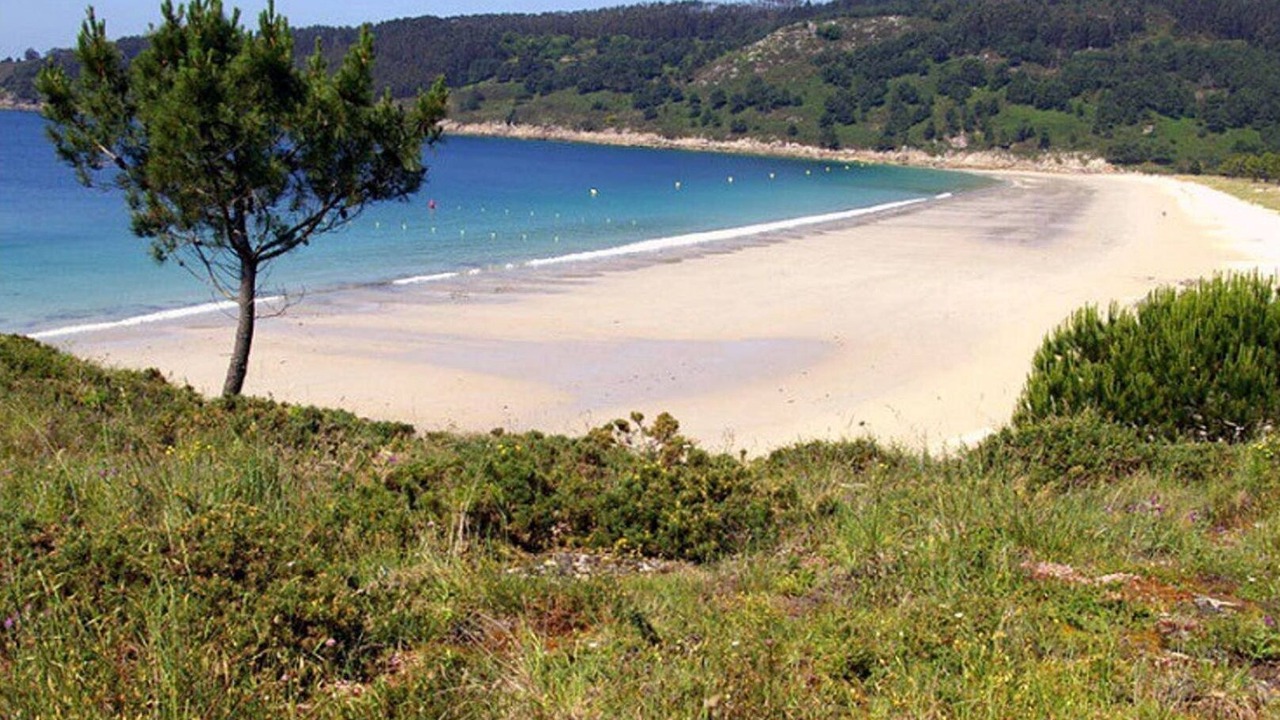 Photo of Others in Cangas