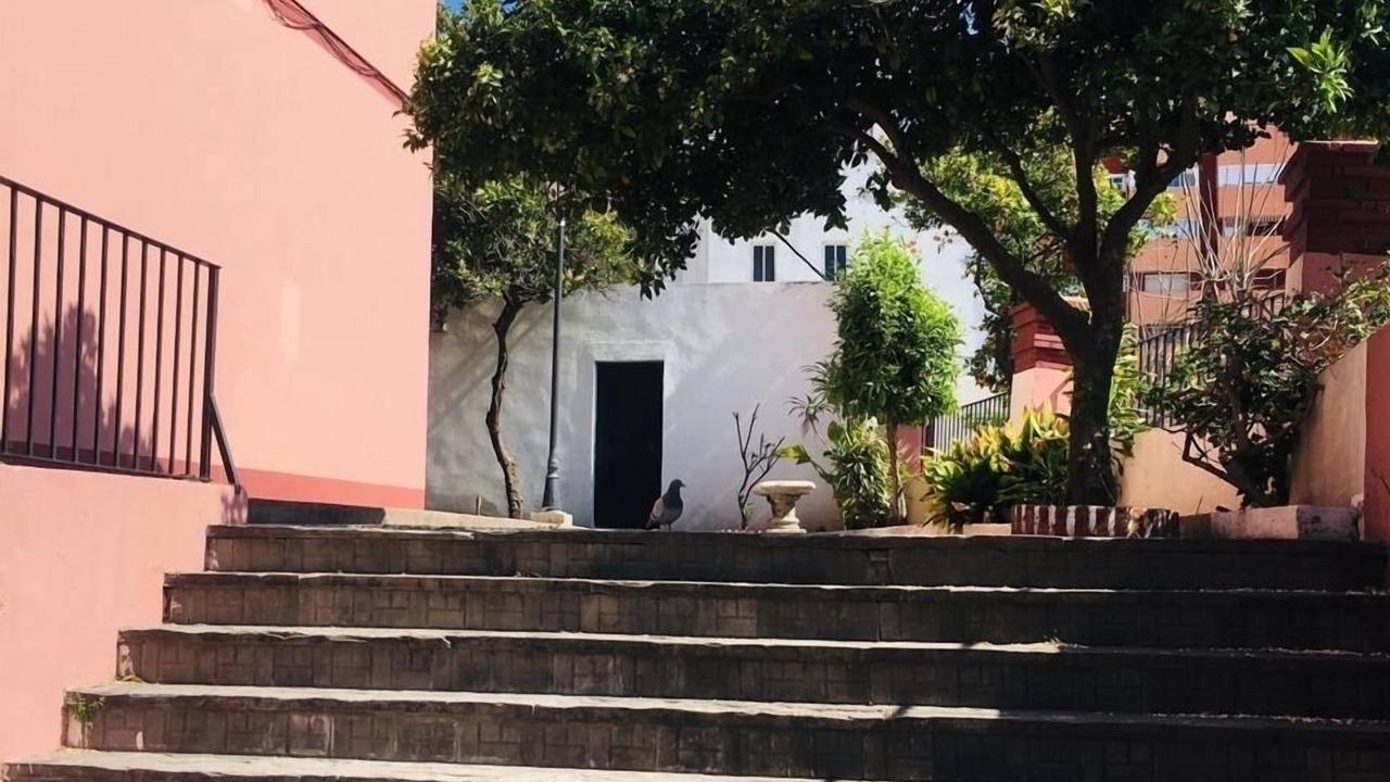 Photo of Outdoor in Algeciras