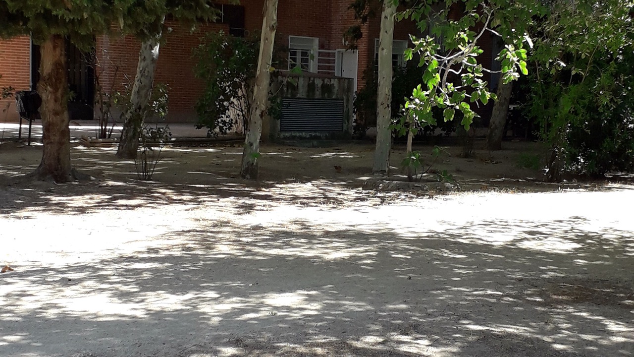 Photo of Outdoor in Hortaleza