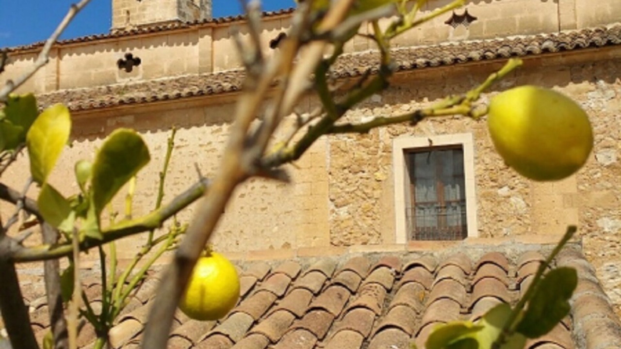 Photo of Outdoor in Sant Llorenc des Cardassar