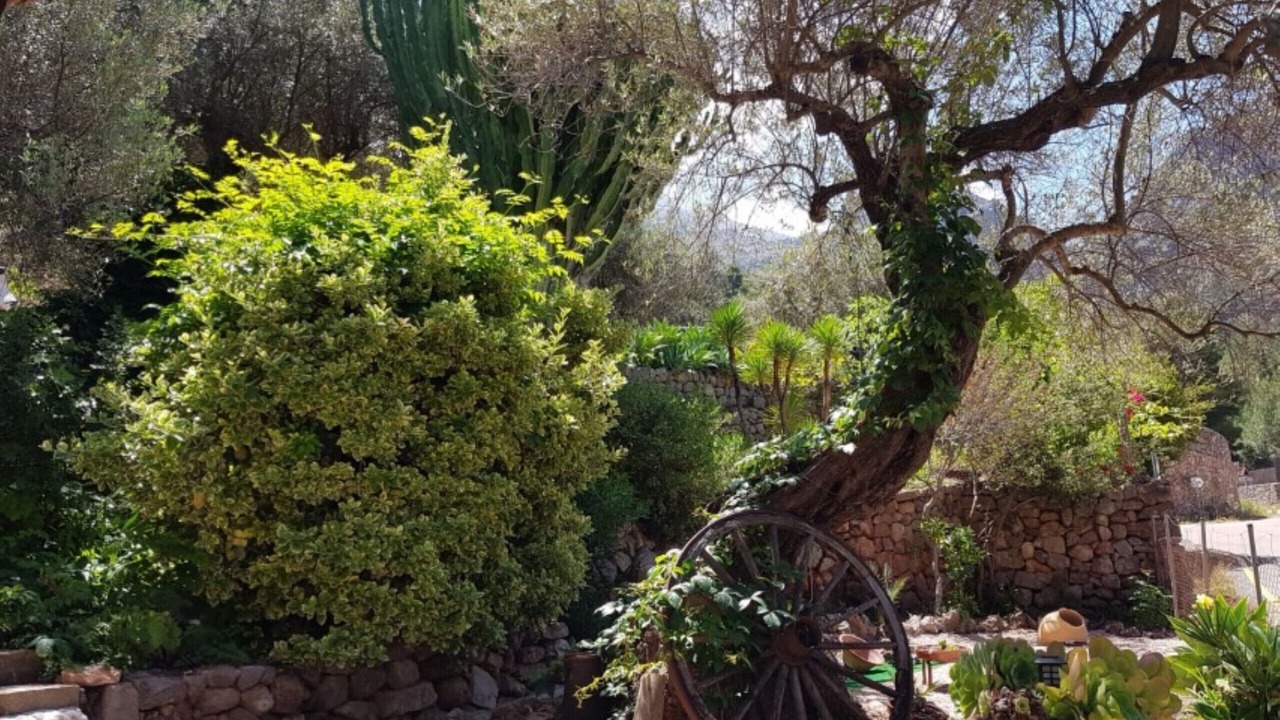 Photo of Outdoor in Escorca