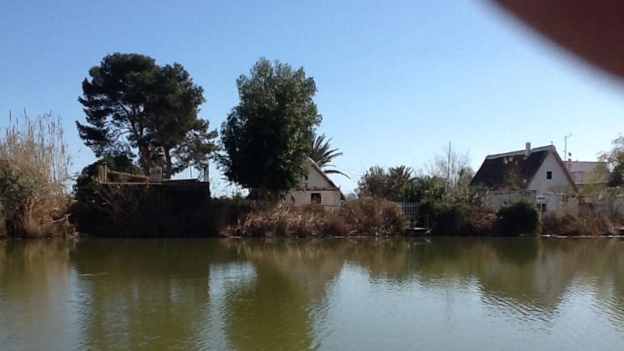 Photo of Others in La Malva-rosa