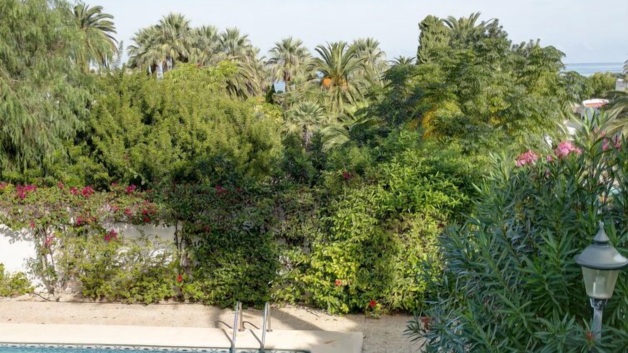 Photo of Outdoor in Denia