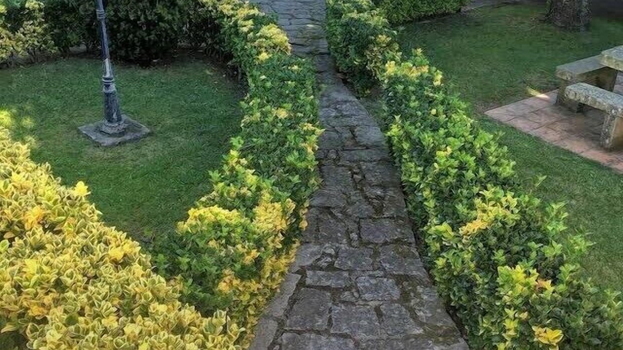 Photo of Outdoor in Bueu