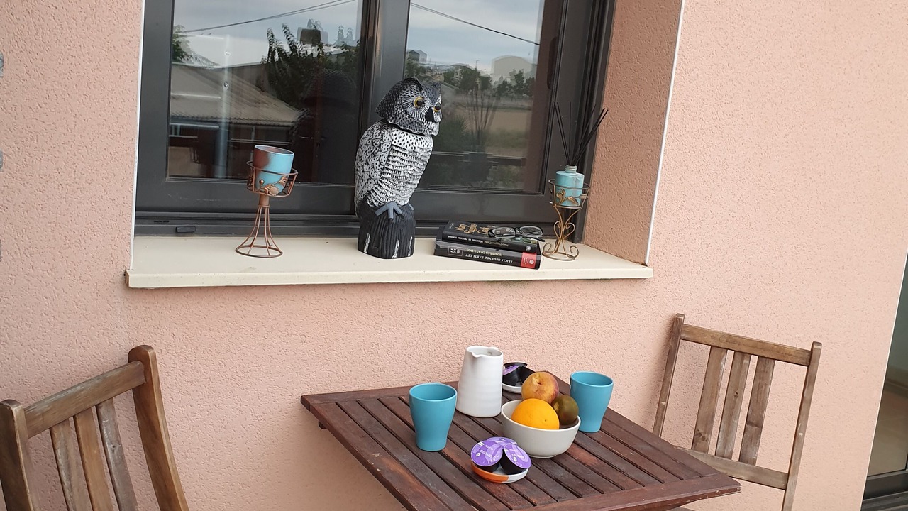 Photo of Outdoor in Deltebre