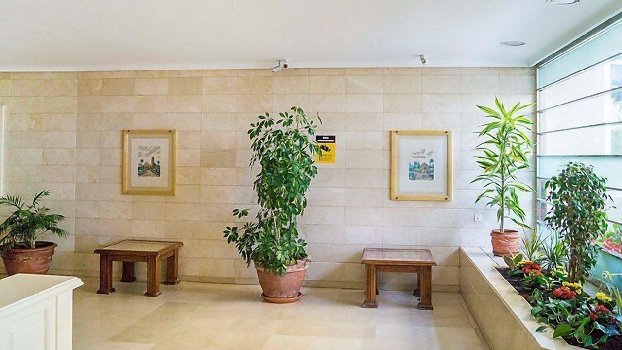 Photo of Outdoor in Estepona