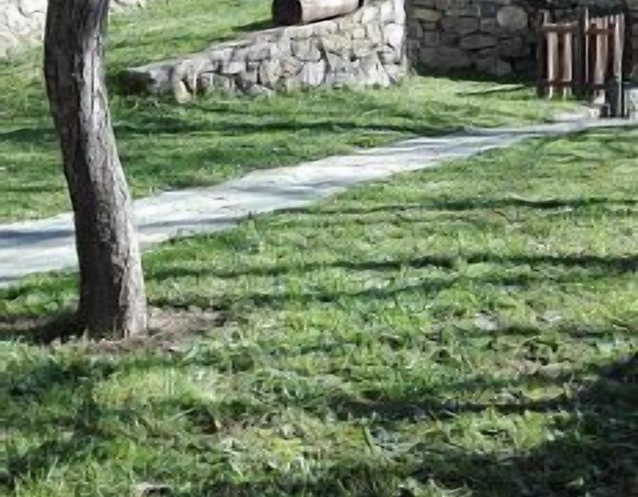 Photo of Outdoor in Tanarrio