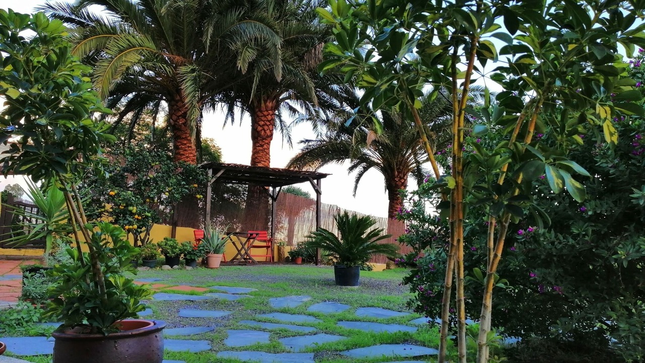 Photo of Outdoor in La Atalaya