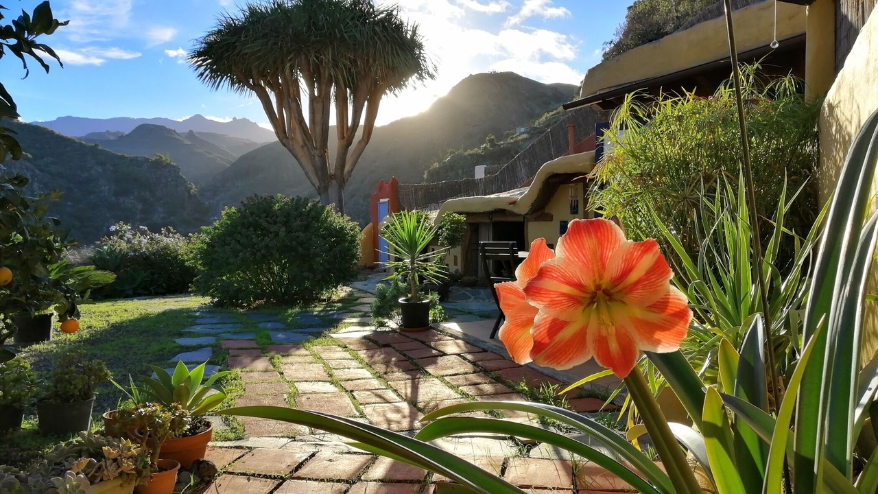 Photo of Outdoor in La Atalaya