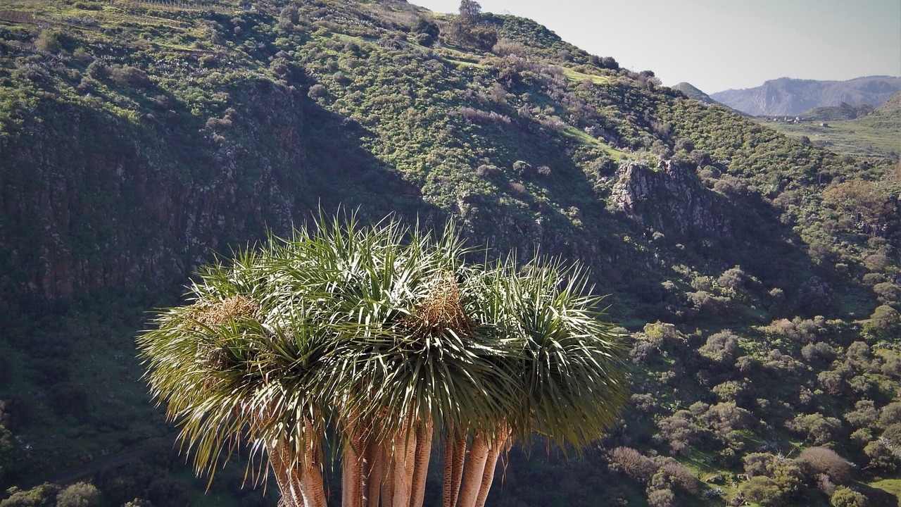 Photo of Outdoor in La Atalaya
