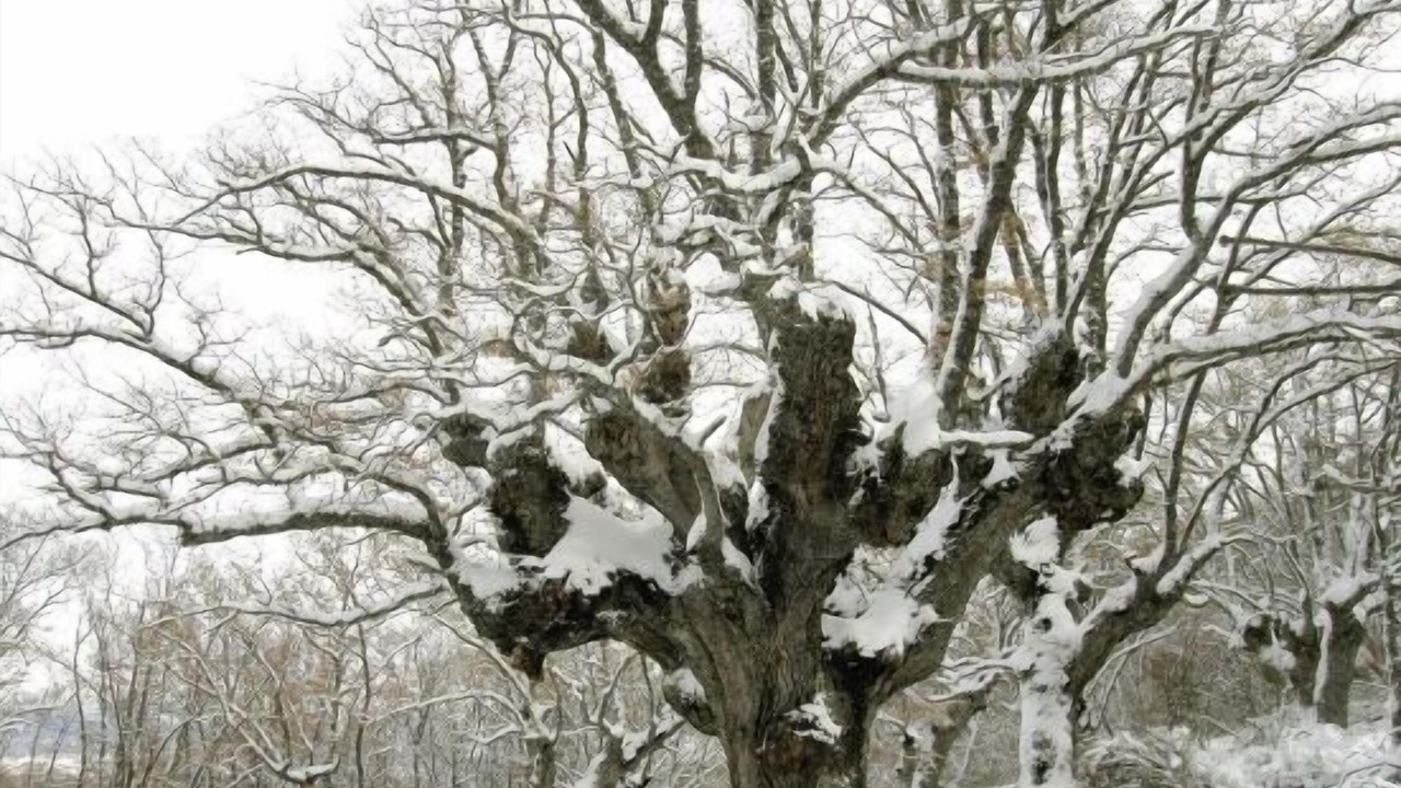Photo of Outdoor in Ocenilla