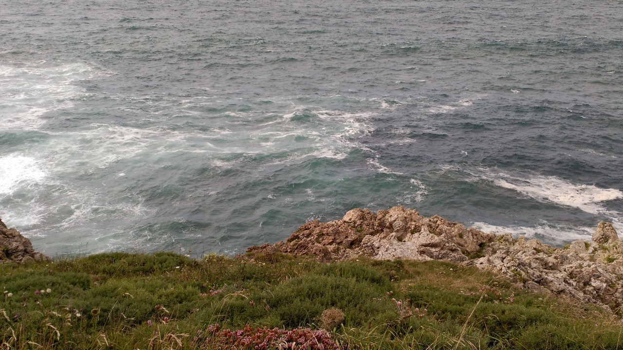 Photo of Others in Alfoz de Lloredo