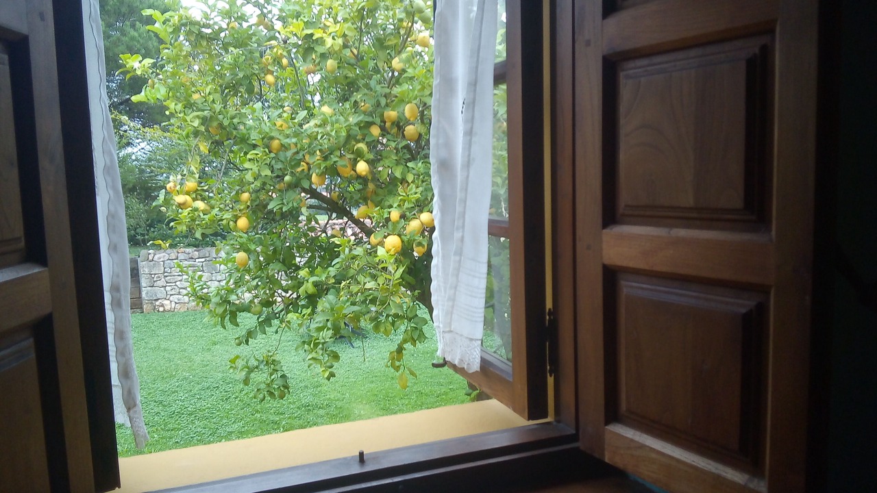 Photo of Others in Alfoz de Lloredo