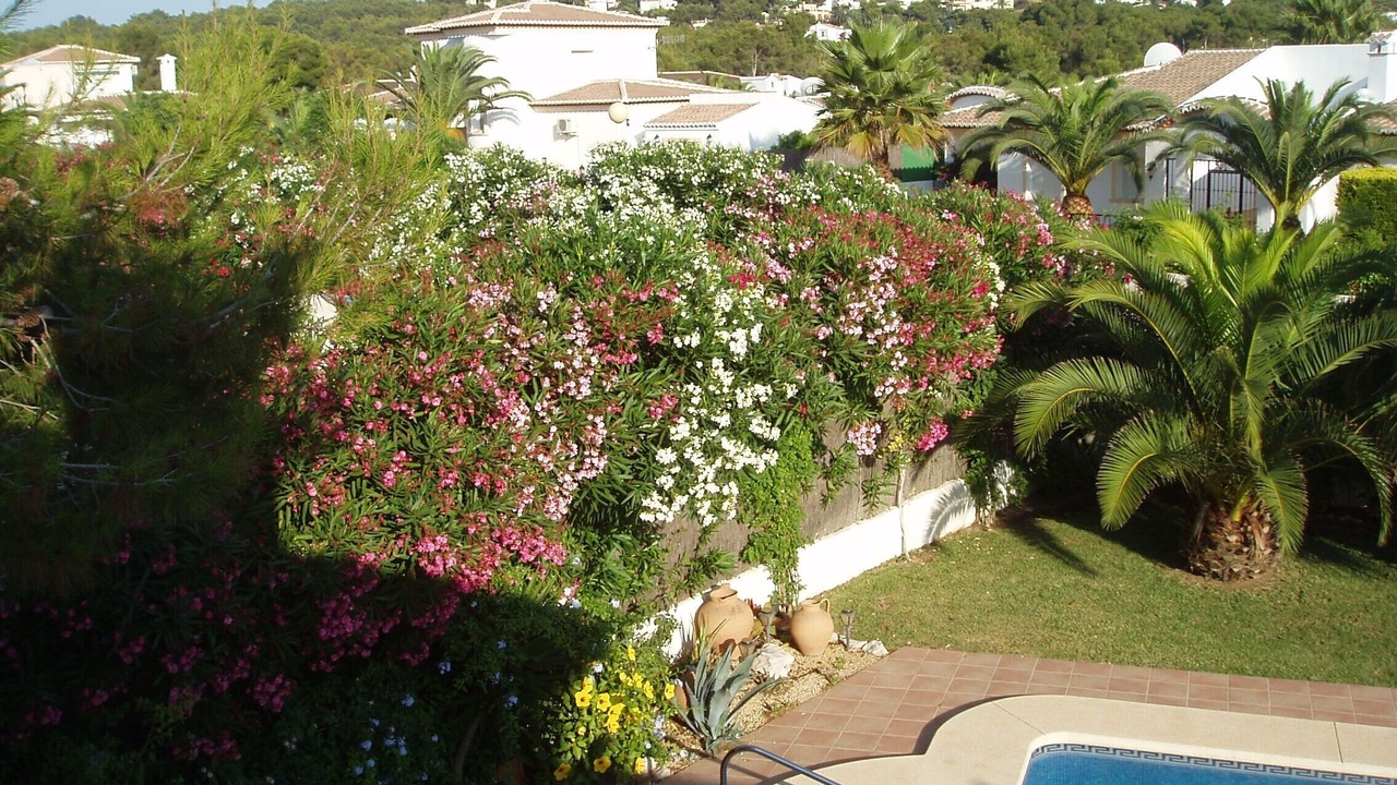 Photo of Patio Balcony in Costa Nova