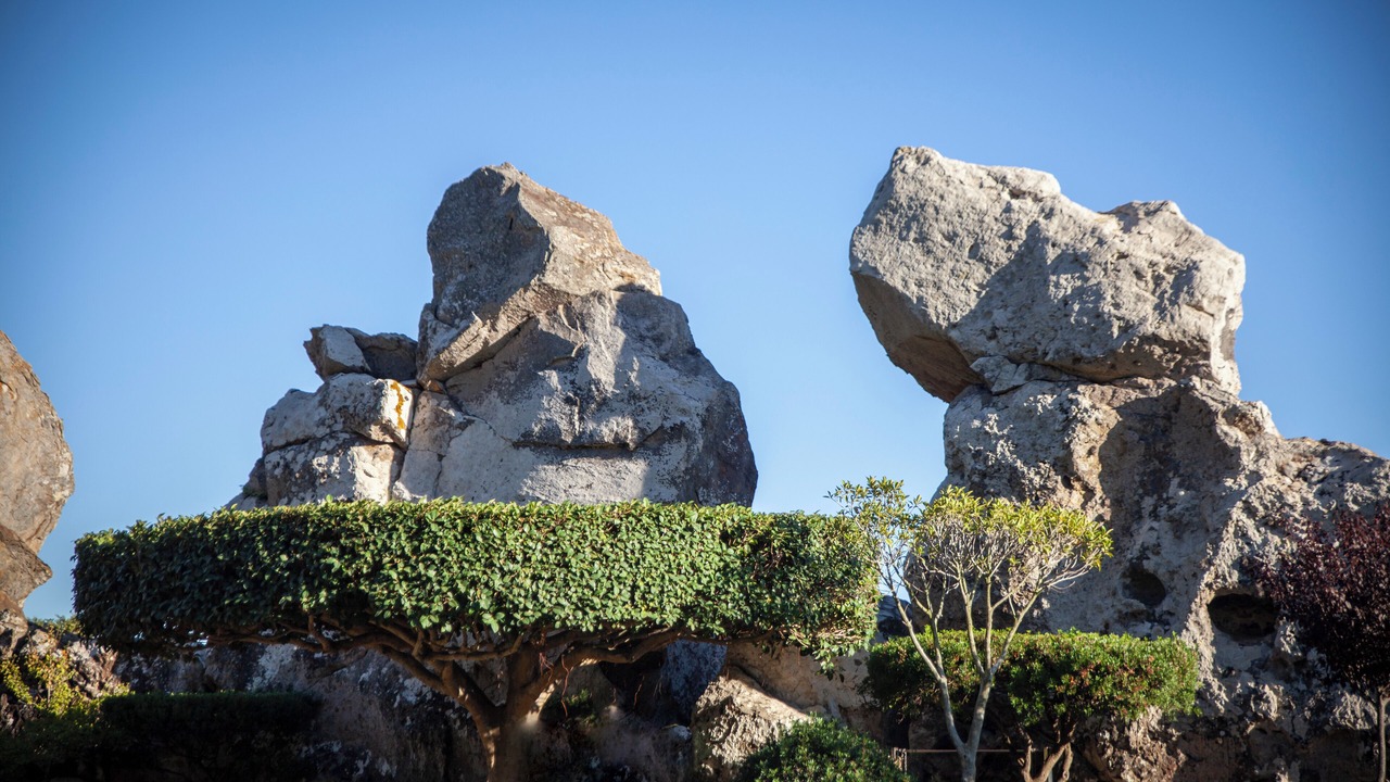 Photo of Others in Bolonia