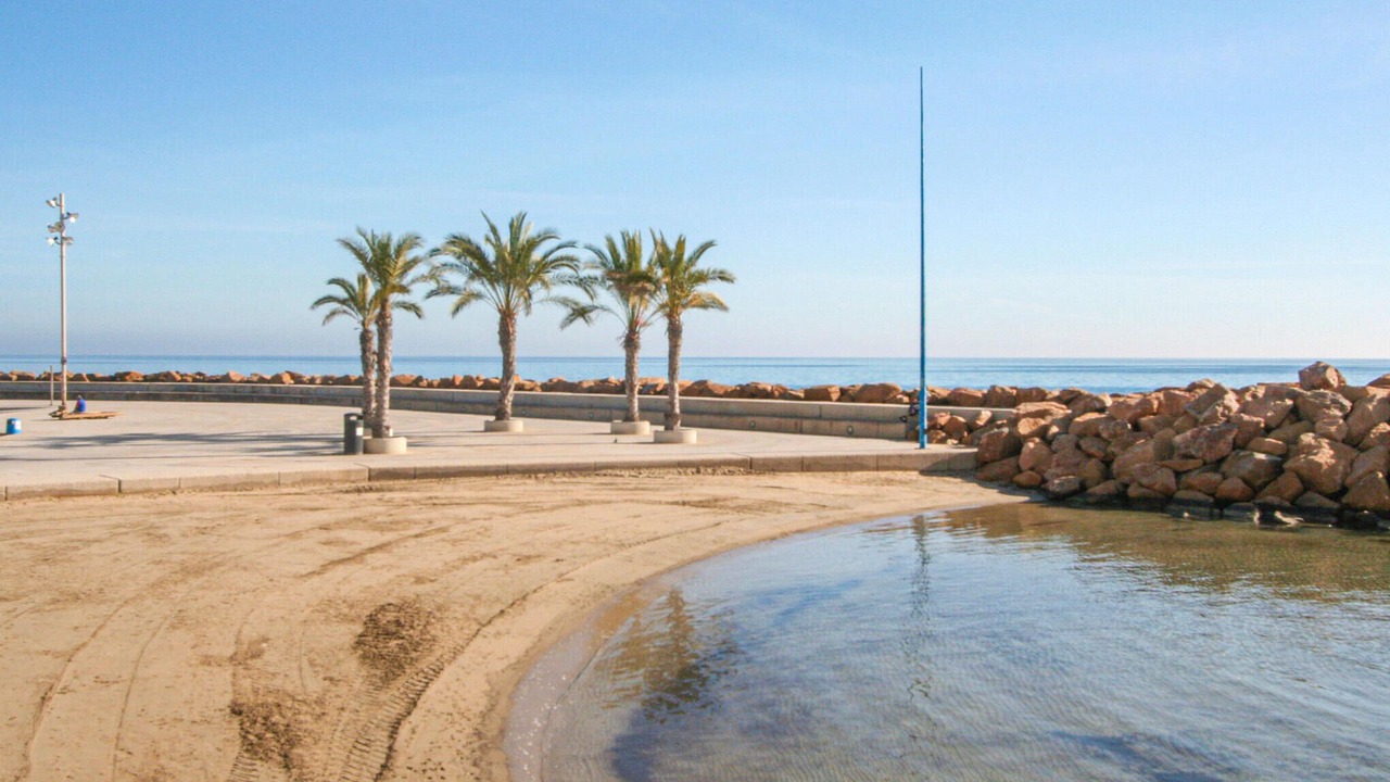 Photo of Others in La Siesta