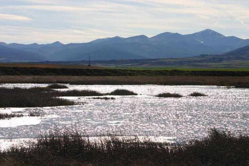 Photo of Others in Herramelluri
