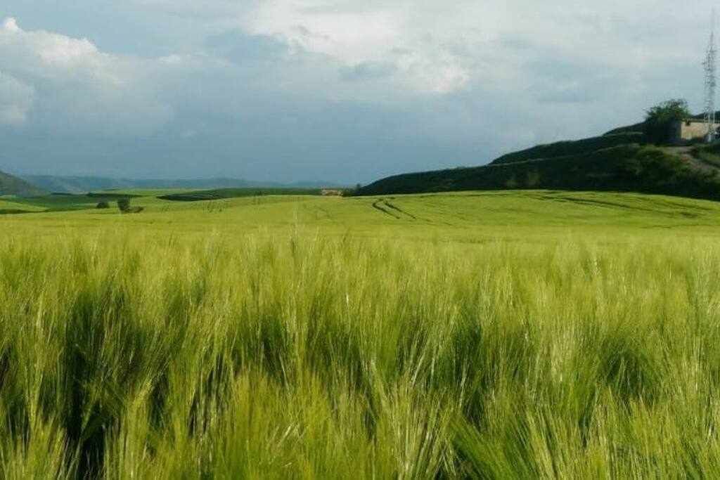 Photo of Others in Herramelluri