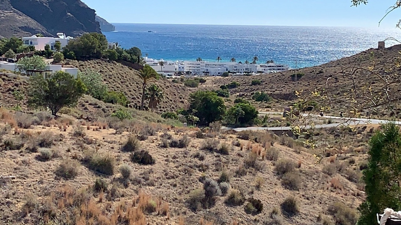 Photo of Others in Las Negras