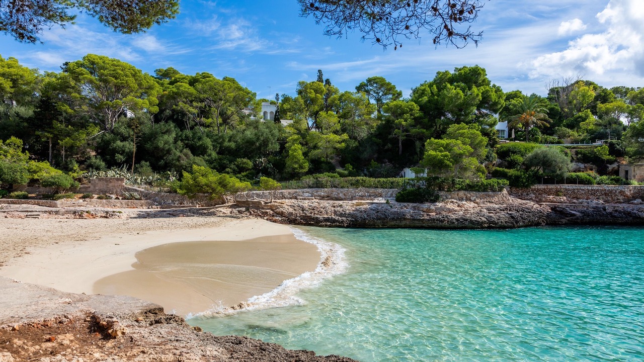 Photo of Others in Cala d'Or