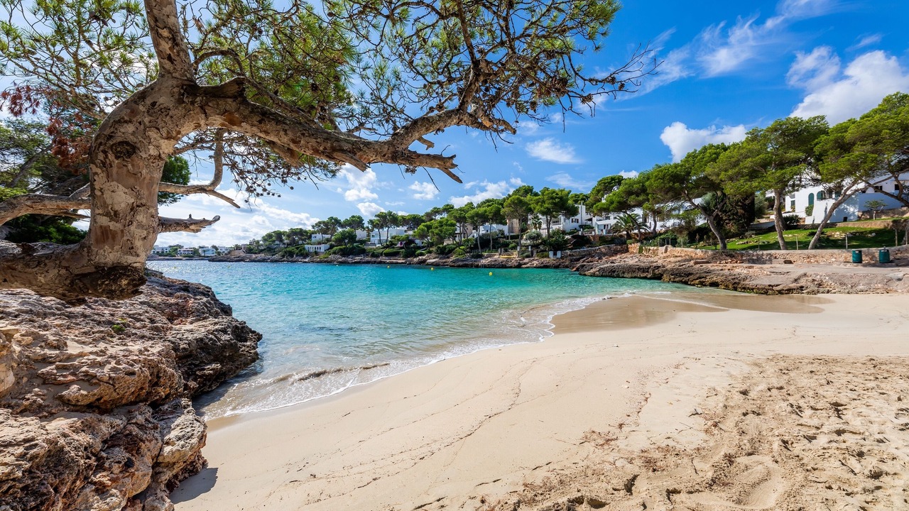 Photo of Others in Cala d'Or
