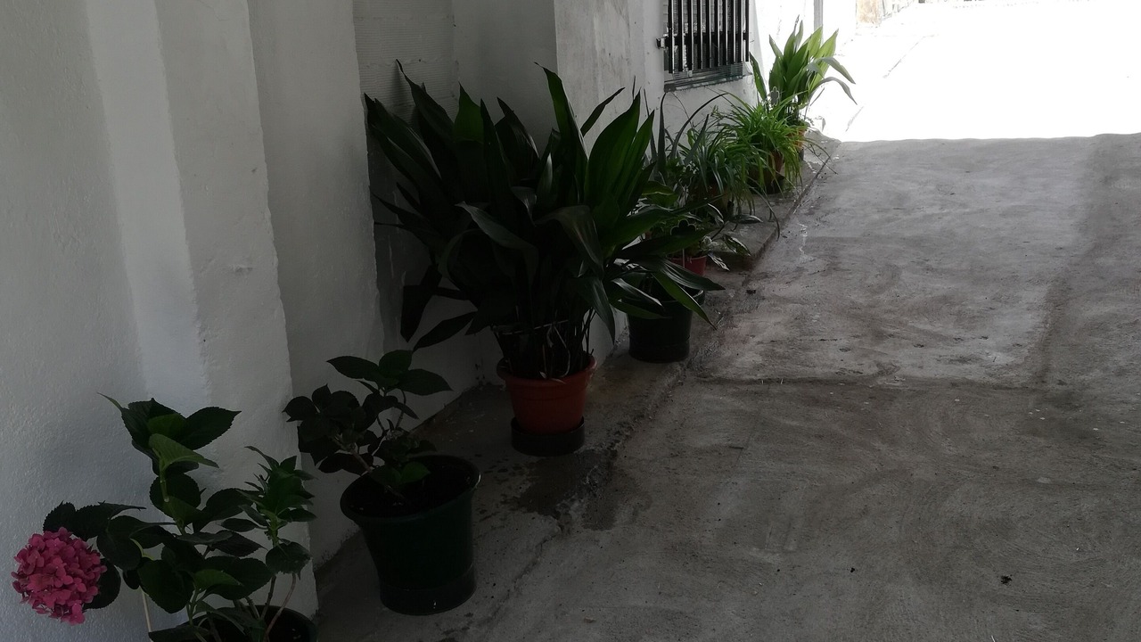 Photo of Outdoor in Belmonte de Tajo