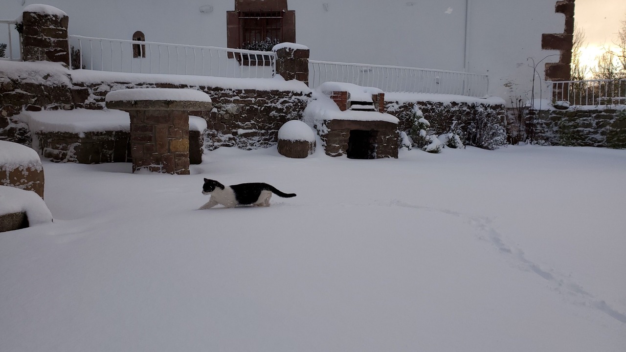 Photo of Outdoor in Salces