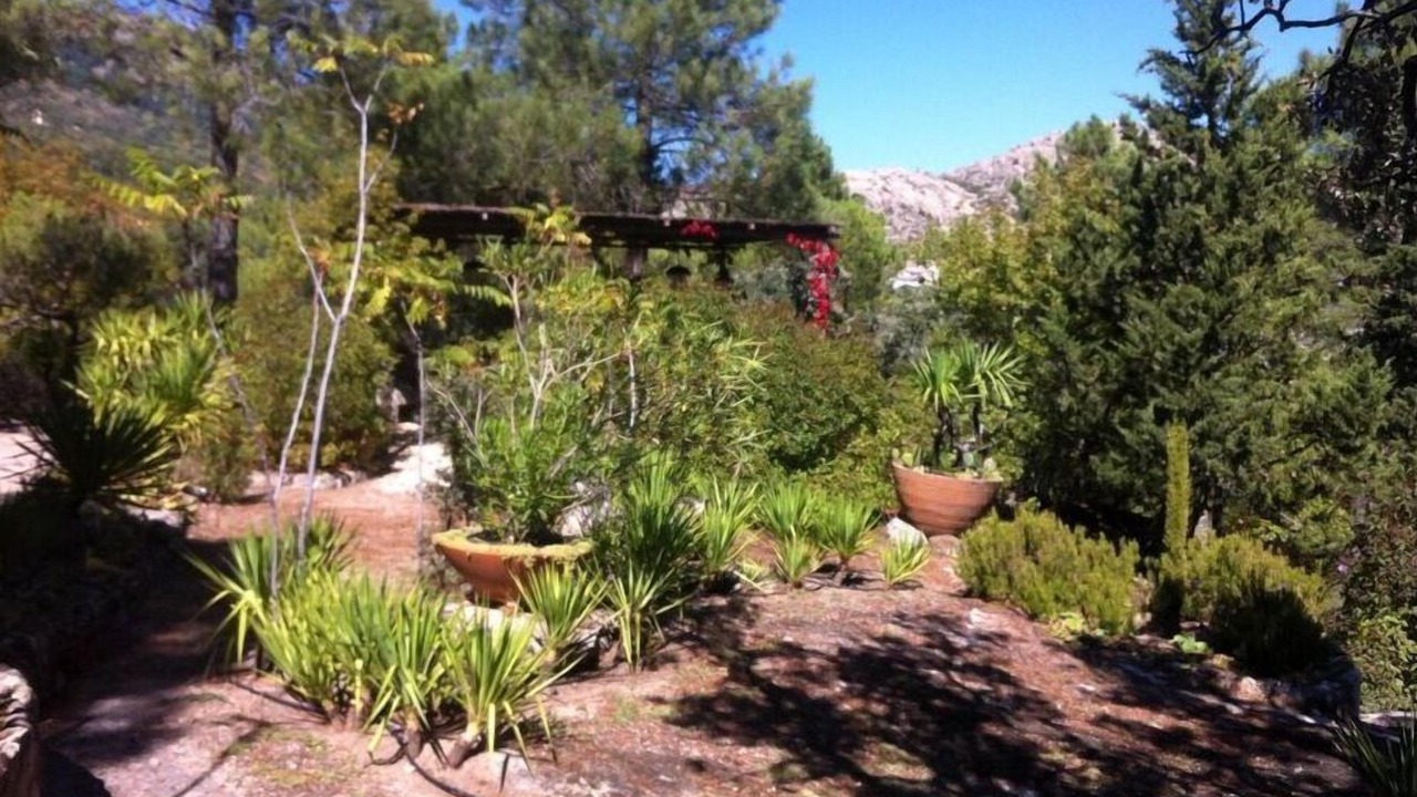 Photo of Outdoor in Valdemanco