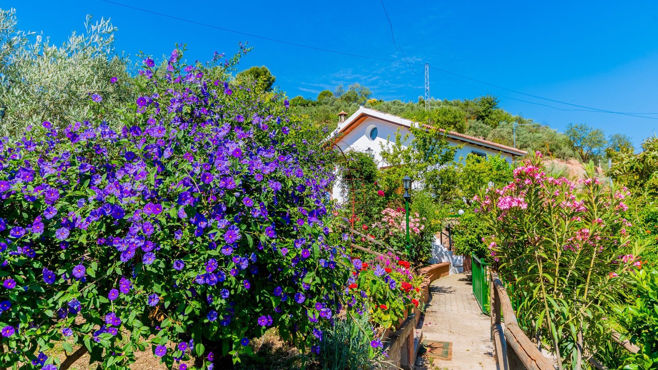 Photo of Outdoor in Ardales
