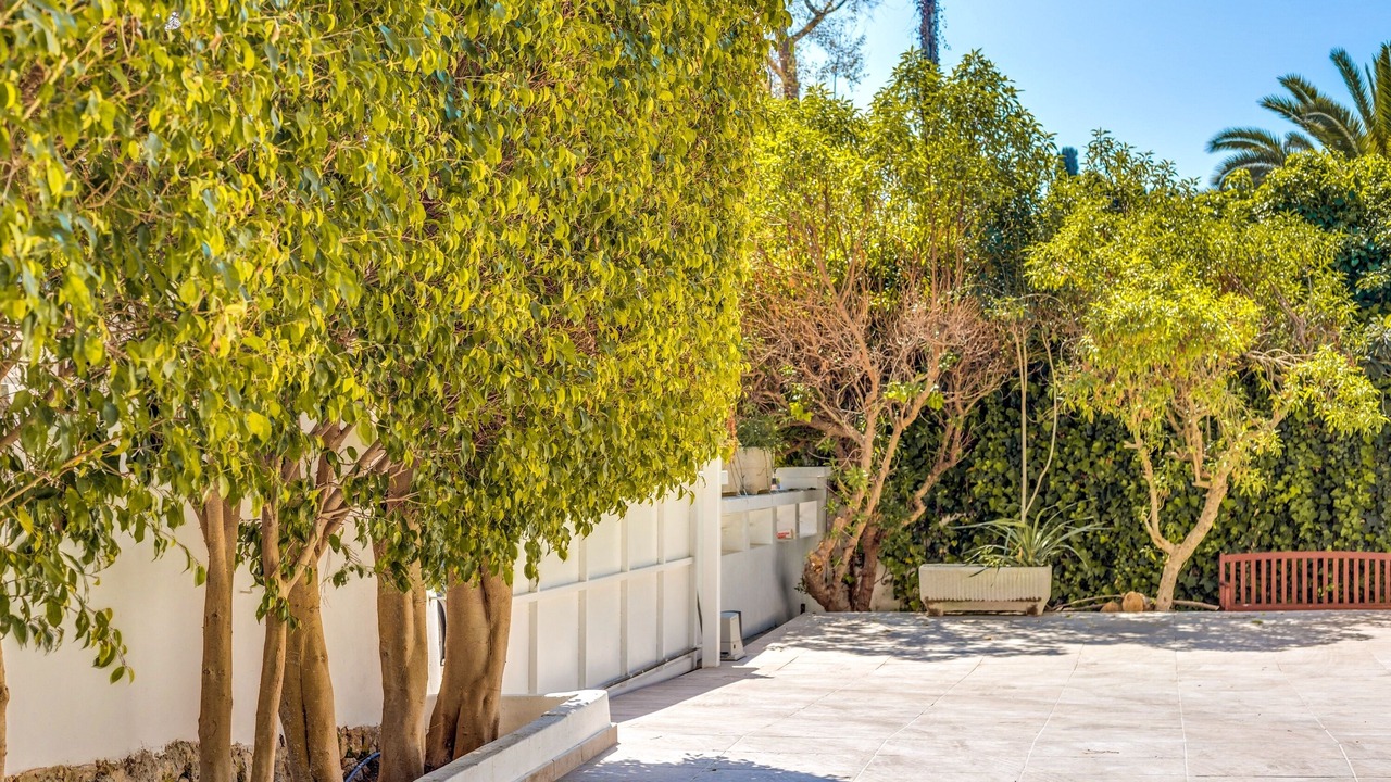 Photo of Outdoor in Son Armadams