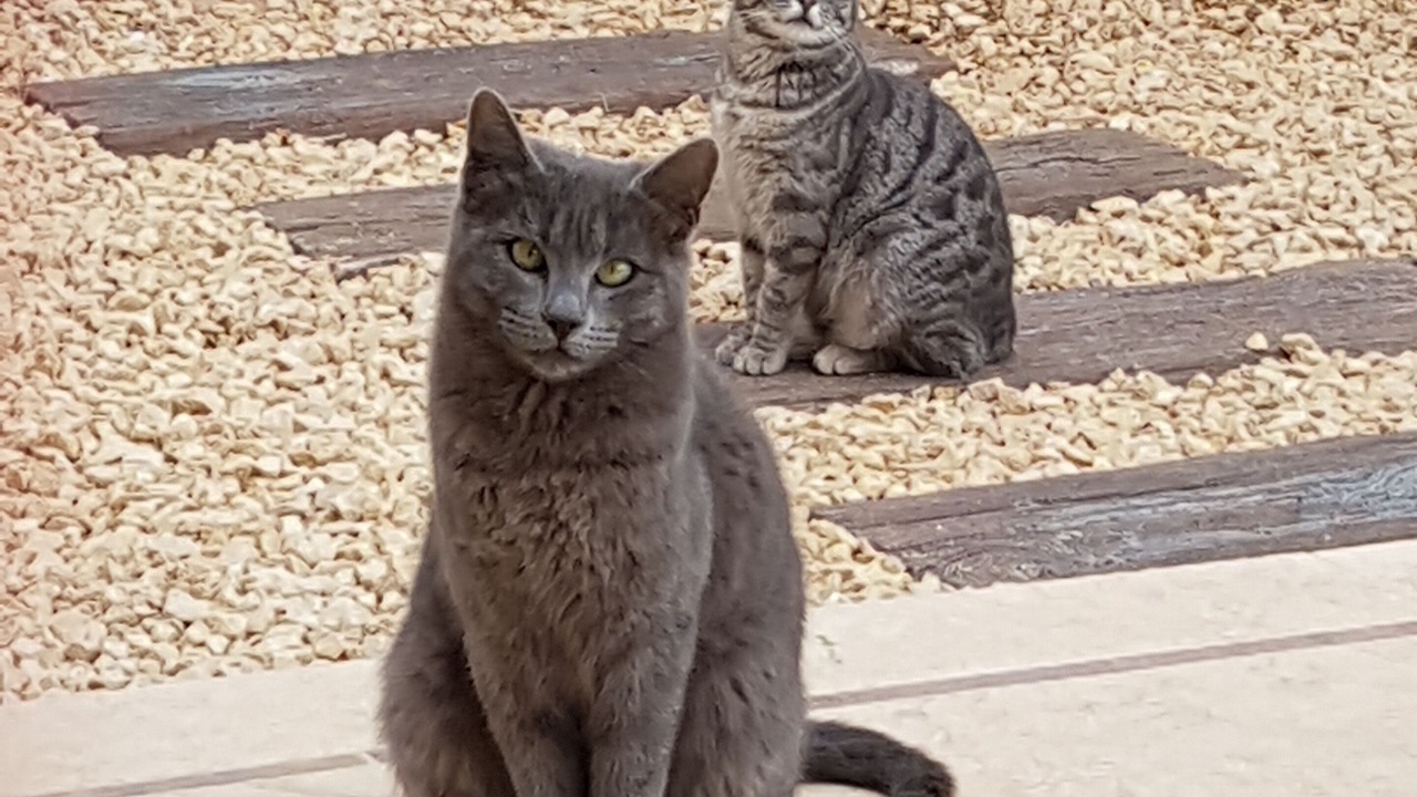 Photo of Outdoor in Pinar del Advocat
