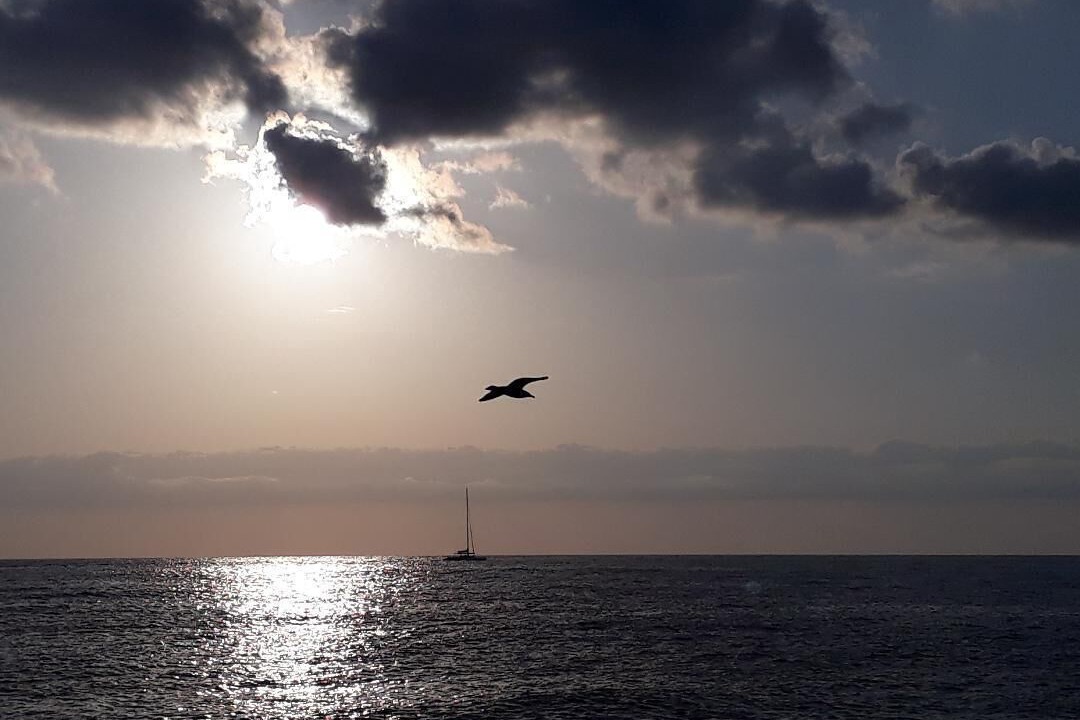 Photo of Others in Denia