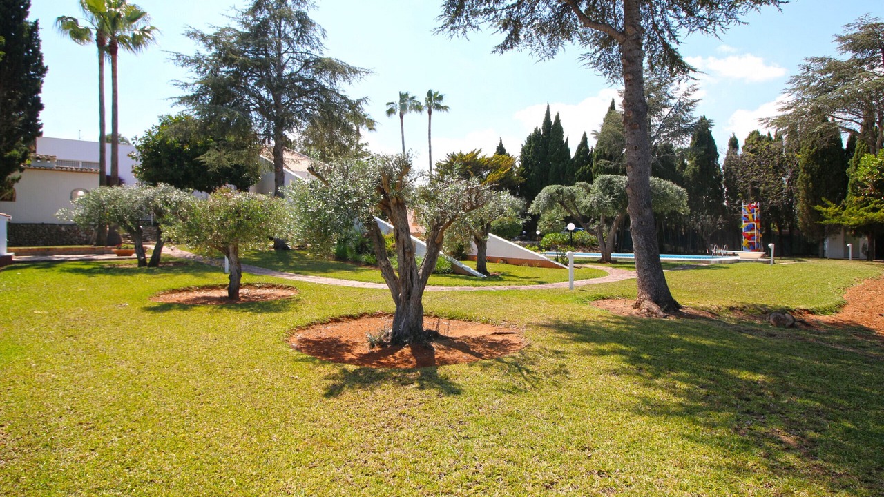 Photo of Outdoor in Pedreguer