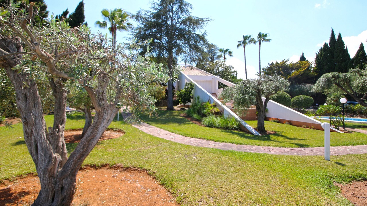 Photo of Outdoor in Pedreguer