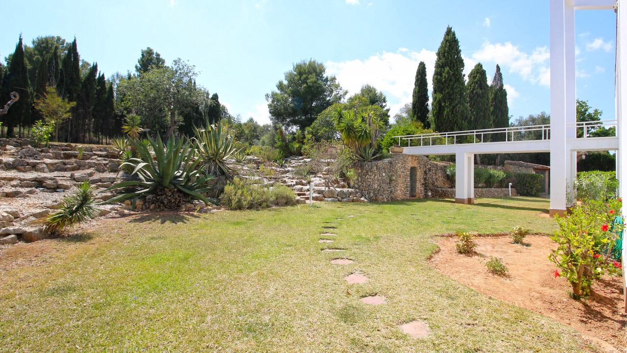 Photo of Outdoor in Pedreguer