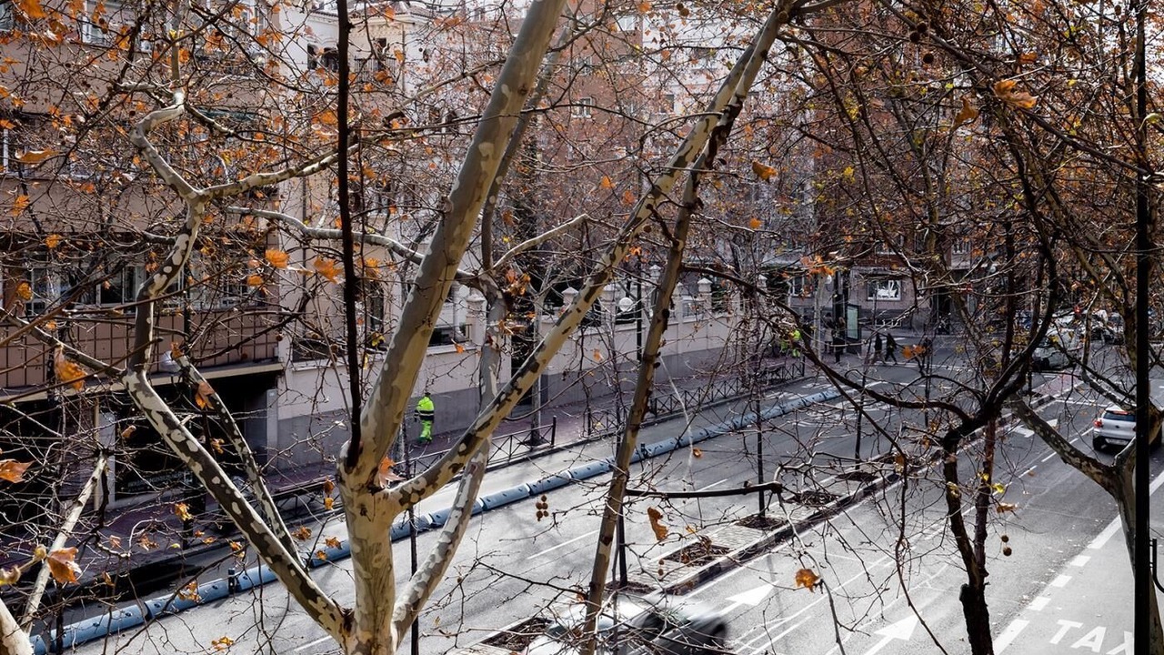 Photo of Outdoor in Castellana