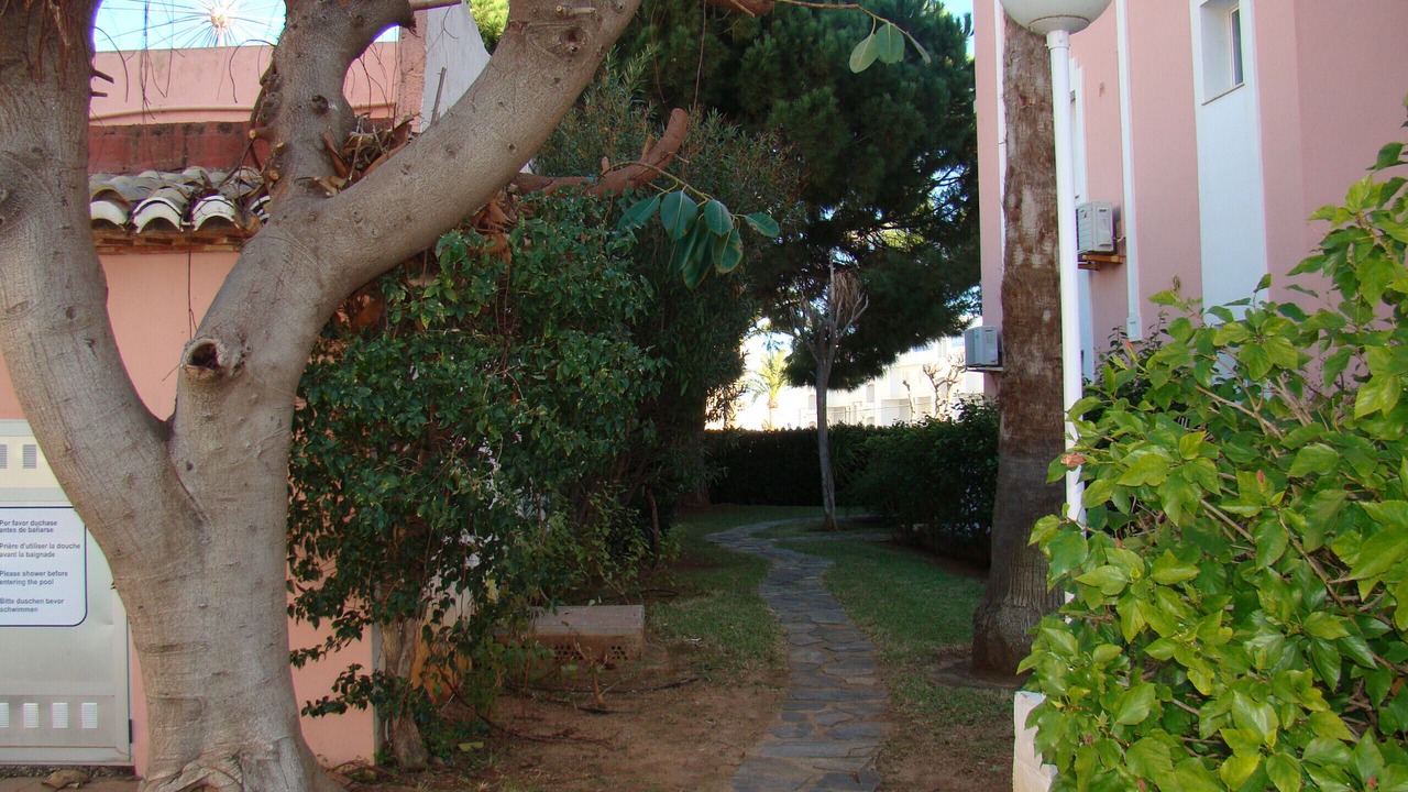 Photo of Others in Denia