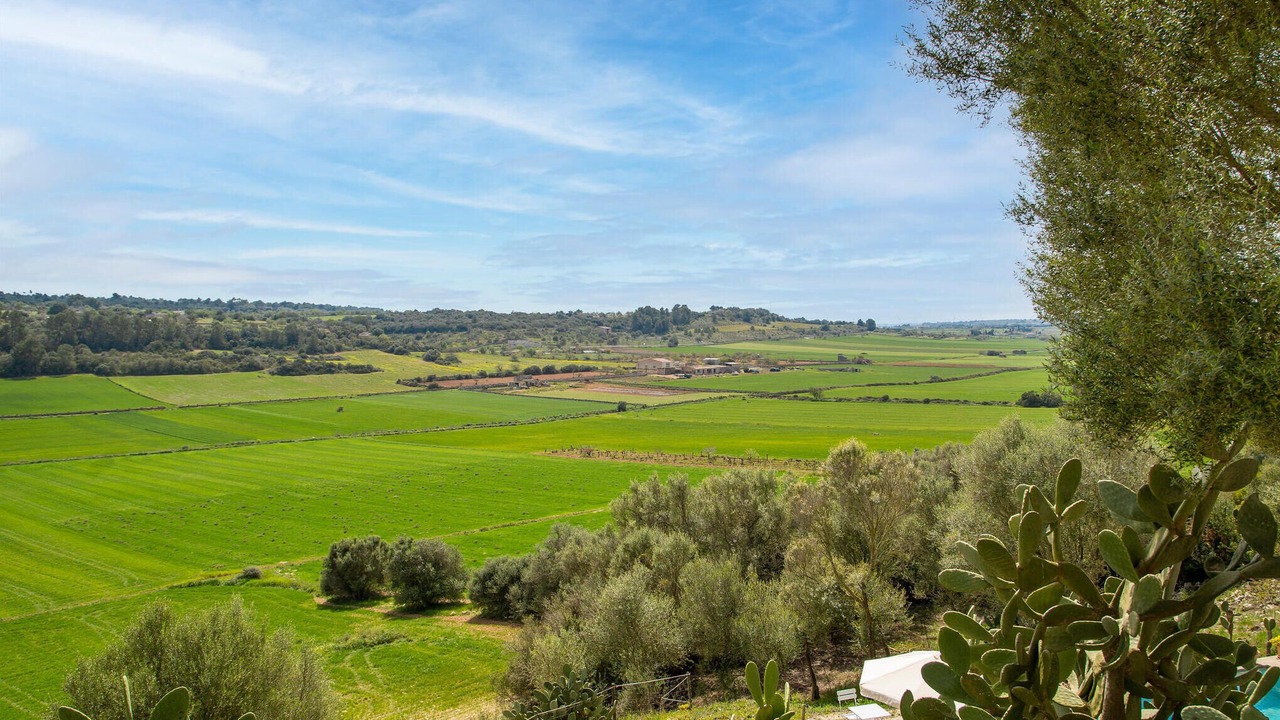 Photo of Outdoor in Ariany