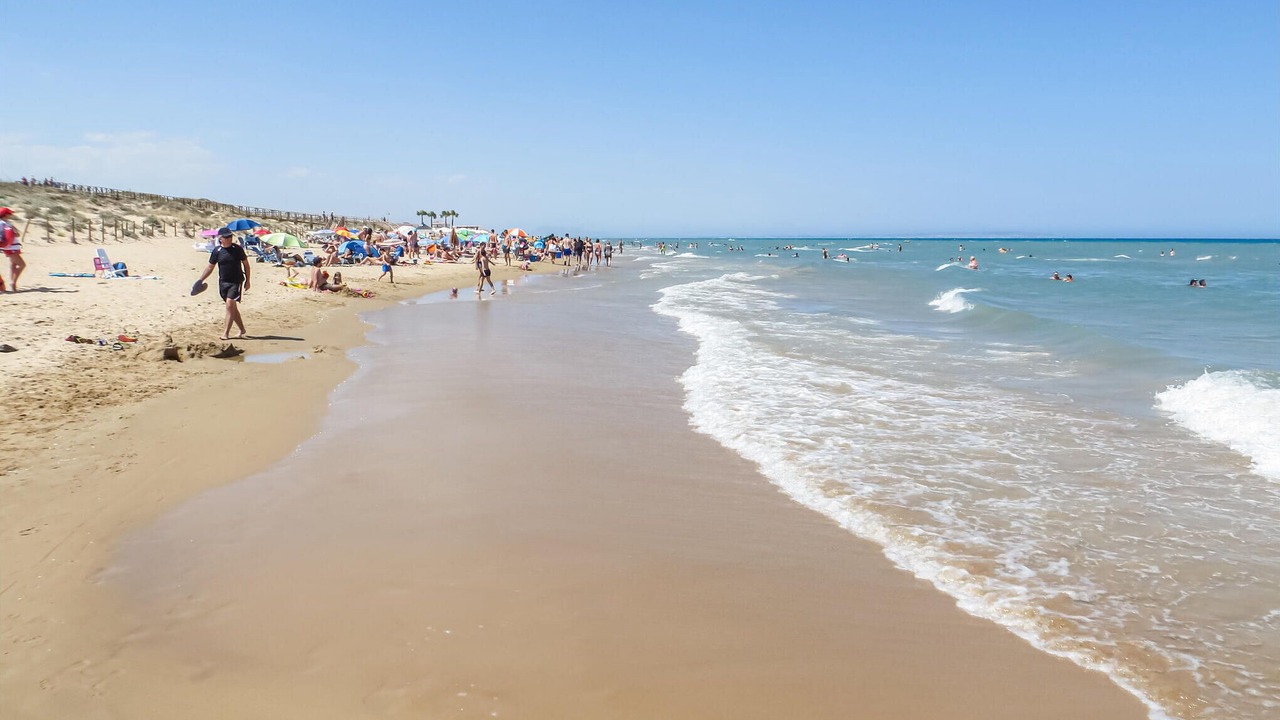 Photo of Others in La Siesta