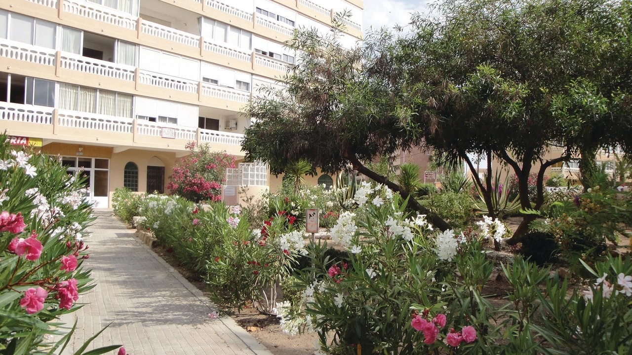 Photo of Outdoor in La Mata
