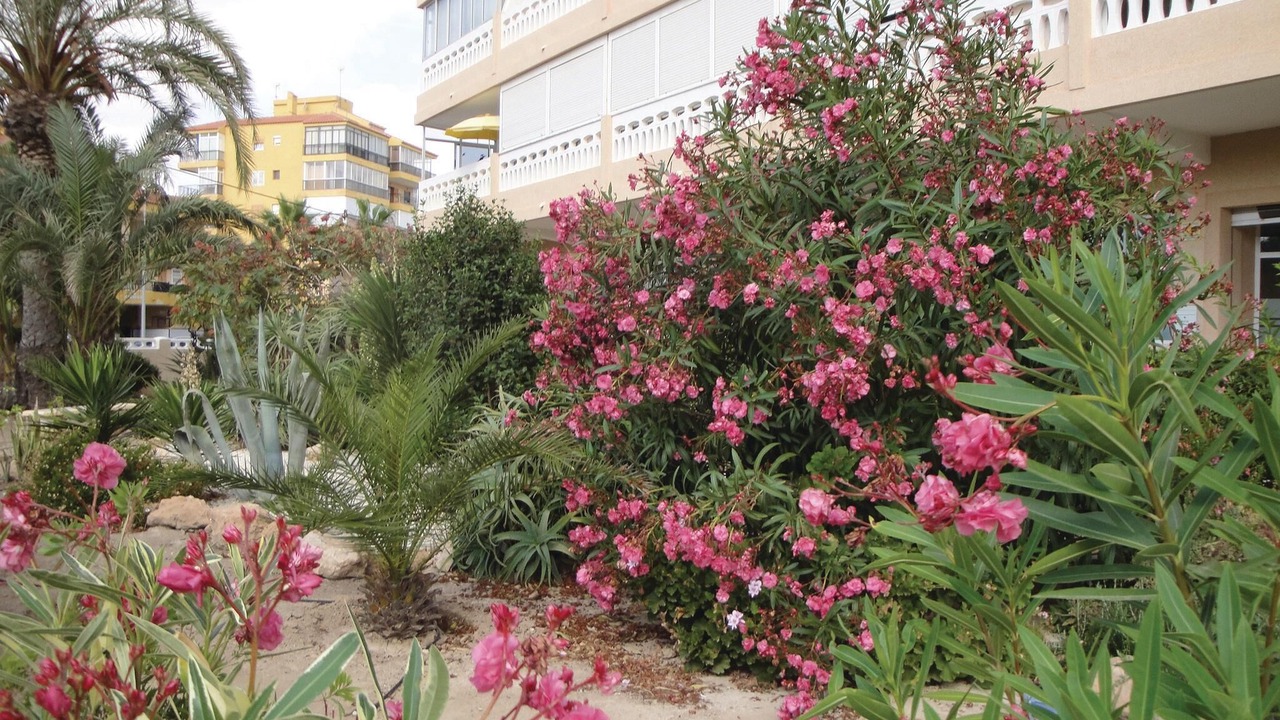 Photo of Outdoor in La Mata