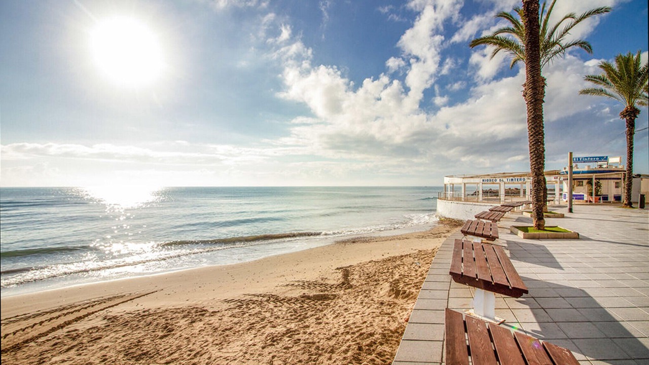 Photo of Others in La Mata