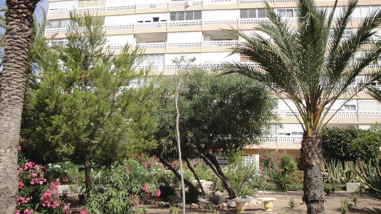 Photo of Others in La Mata