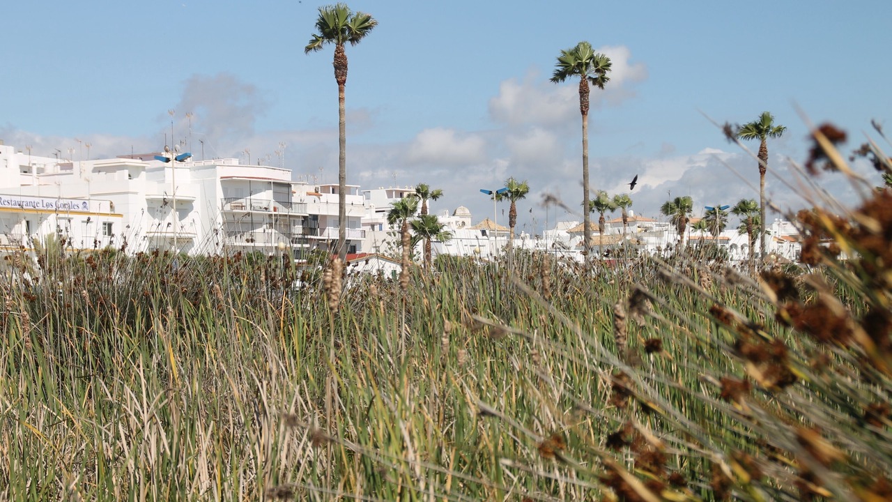 Photo of Outdoor in Conil de la Frontera City Center
