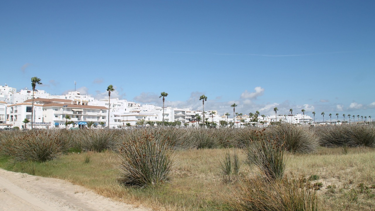 Photo of Others in Conil de la Frontera City Center