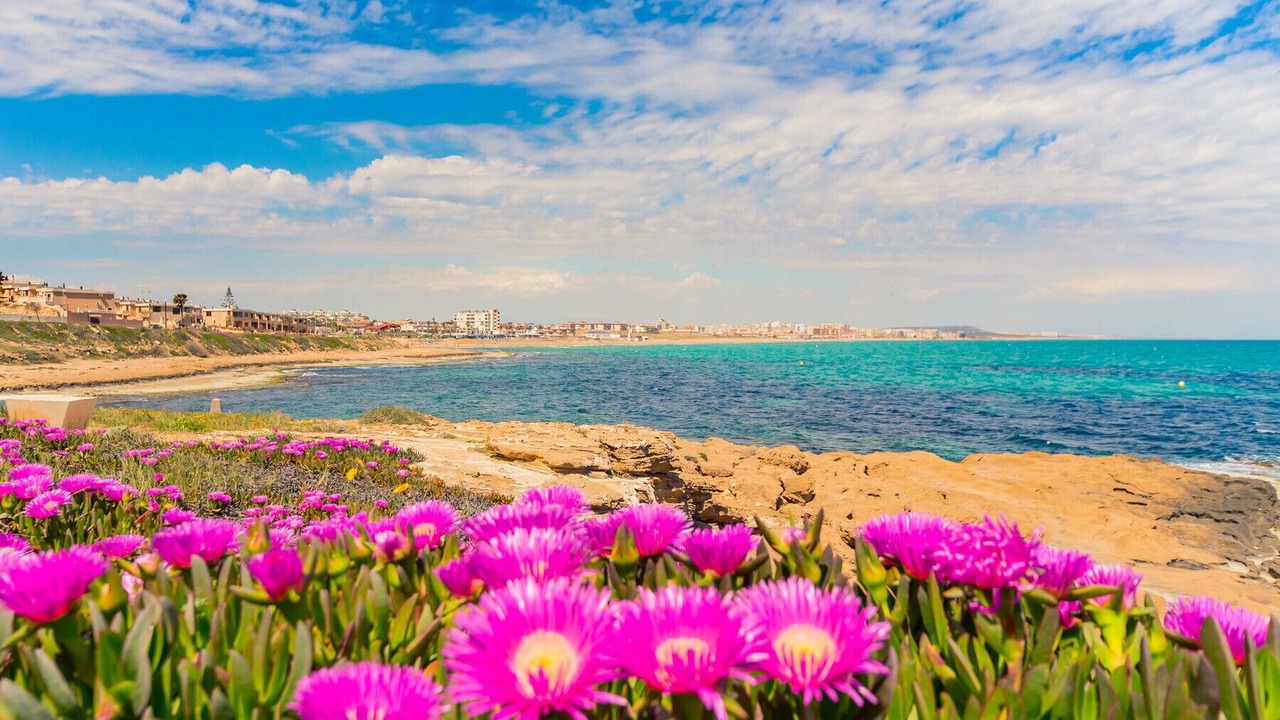 Photo of Others in Torrevieja