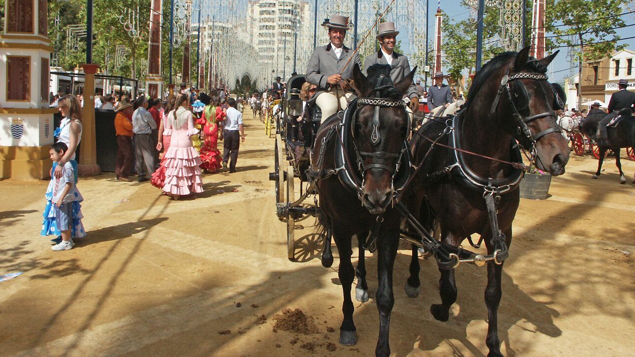 Photo of Others in Jerez de la Frontera Old Town