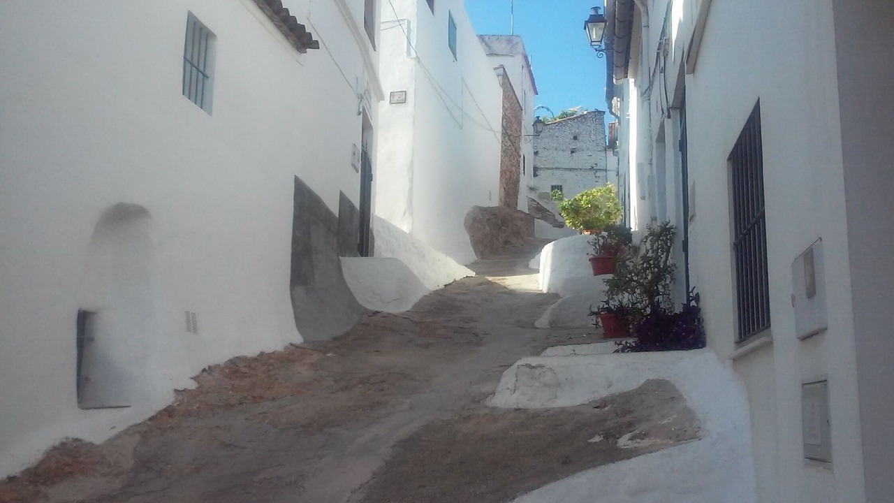 Photo of Outdoor in Oliva