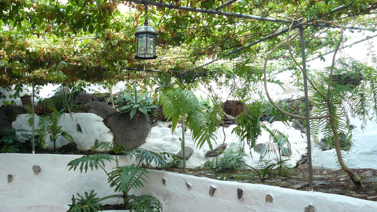 Photo of Outdoor in Agaete