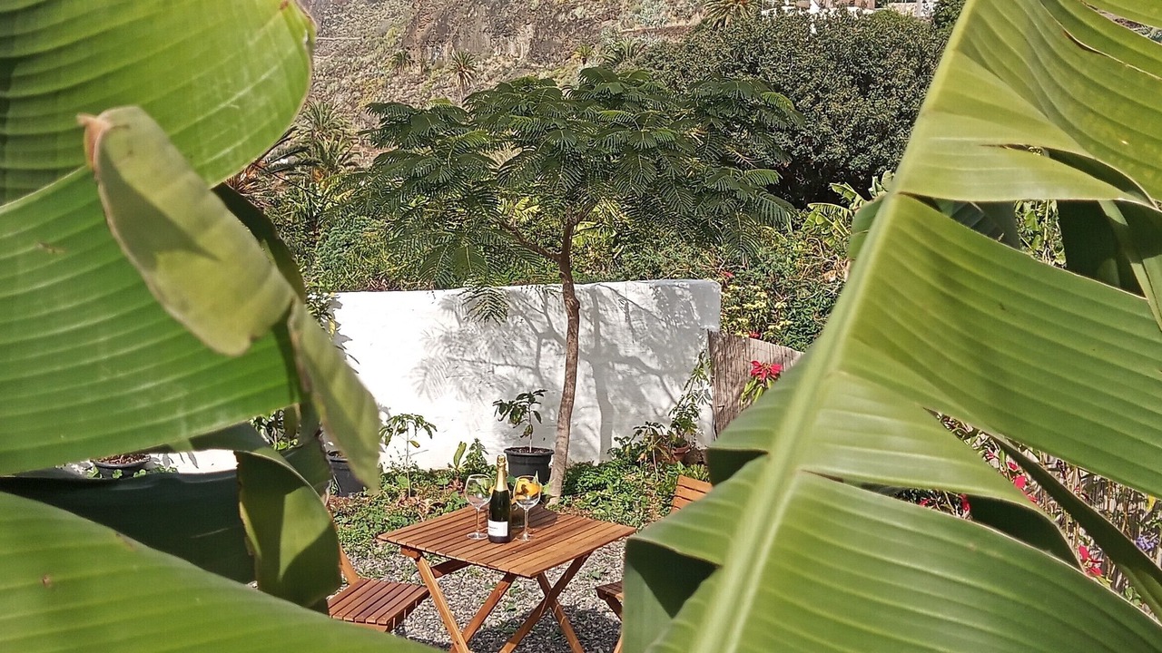 Photo of Outdoor in Agaete